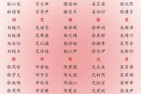 晚上10点出生的属鸡男孩用什么字取名字合适姓名