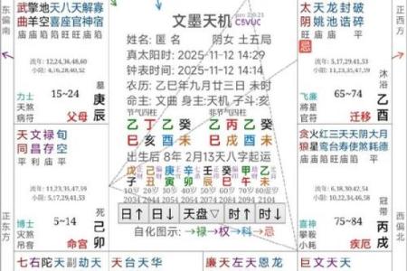 紫薇斗数看驾照