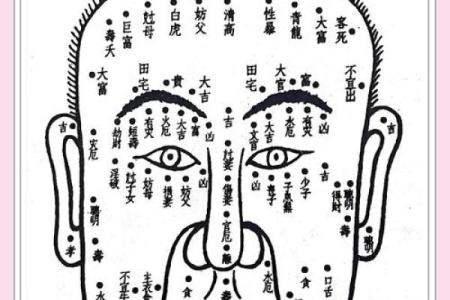 相书算命面相 相书中的面相能算命吗